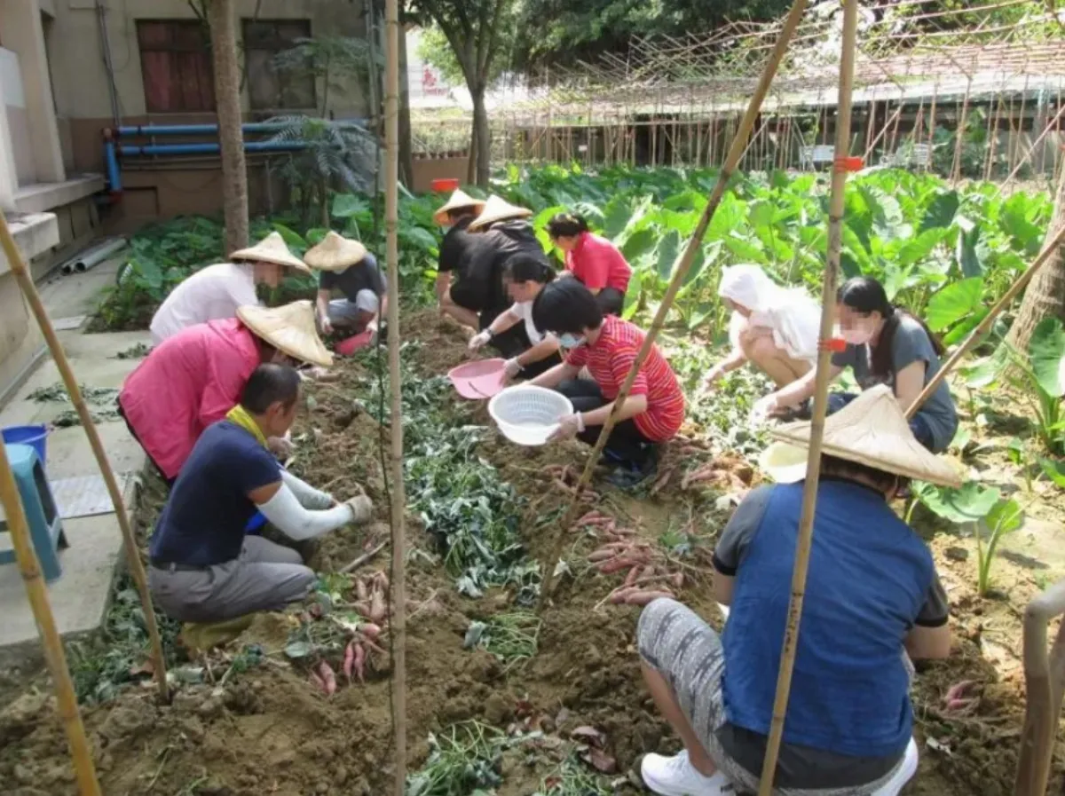 幫精神病友開心窗  嘉榮日間病房採取園藝治療